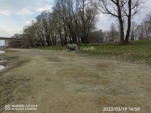 IMG 20220319 145919 edit 24950935882668.jpg