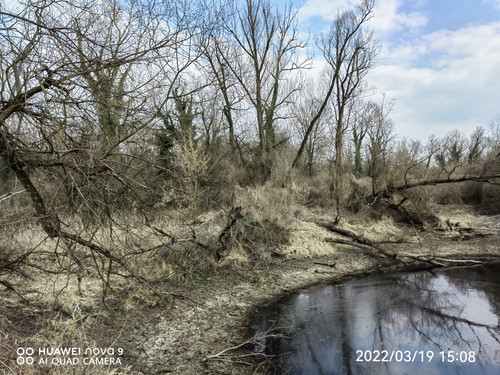 IMG 20220319 150848 edit 24628529885812.jpg