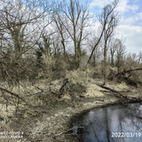 IMG 20220319 150848 edit 24628529885812