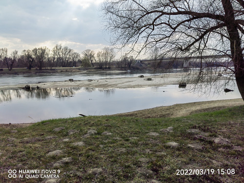 IMG 20220319 150818 edit 24697445716306.jpg