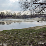 IMG 20220319 150818 edit 24697445716306