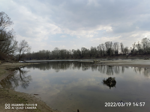 IMG 20220319 145755 edit 25100824947767.jpg