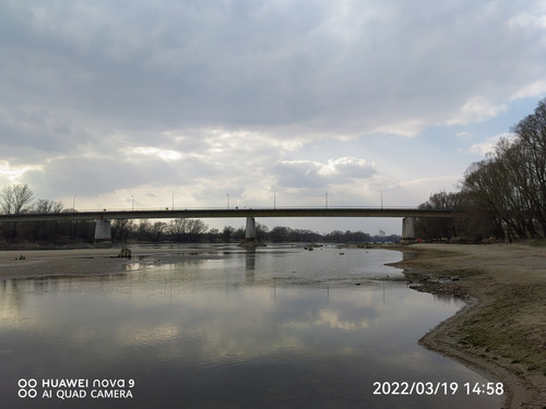 IMG 20220319 145847 edit 25051347646640.jpg