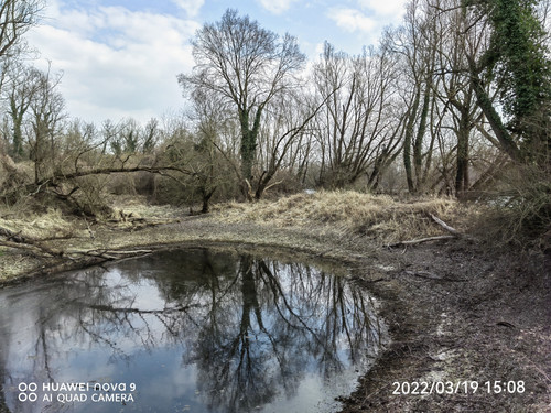 IMG 20220319 150852 edit 24608664199674.jpg