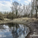 IMG 20220319 150852 edit 24608664199674