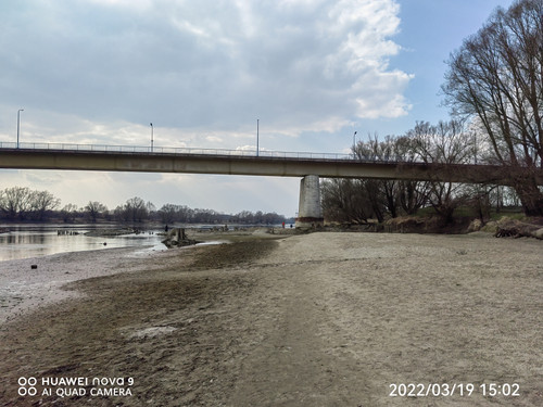 IMG 20220319 150253 edit 24769672994404.jpg