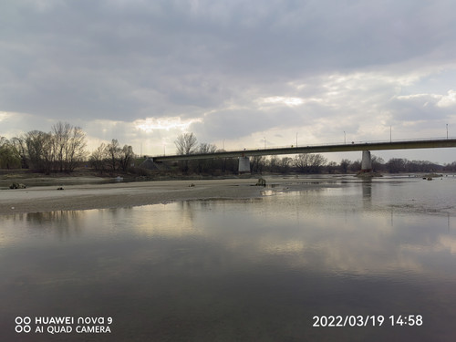 IMG 20220319 145850 edit 25031316978158.jpg