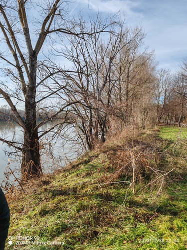 IMG 20231230 133456.jpg