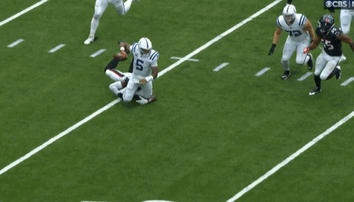 GIF 10 27 2024 1 07 46 PM.gif