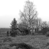 IMG 0010 1