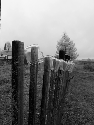 IMG 0016 1.jpg