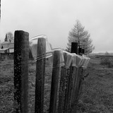 IMG 0016 1