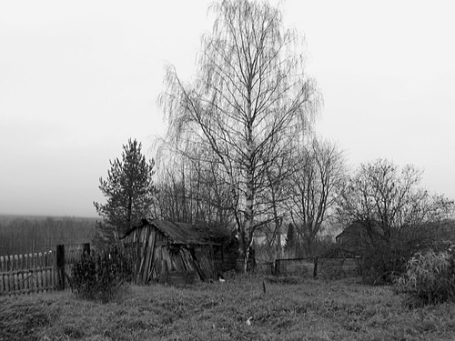 IMG 0011 1.jpg