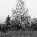 IMG 0011 1