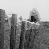 IMG 0013 1