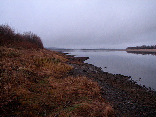 IMG 0040 1.jpg