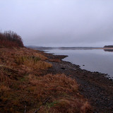 IMG 0040 1