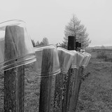 IMG 0014 1