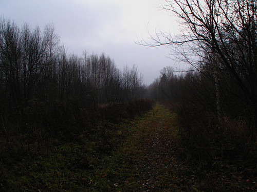 IMG 0037 1.jpg