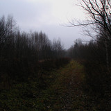 IMG 0037 1