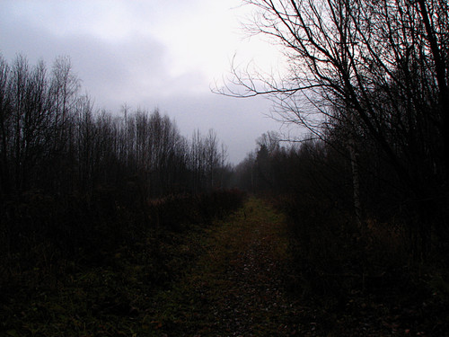 IMG 0038 1.jpg