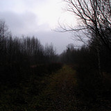 IMG 0038 1