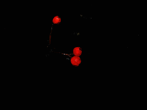 IMG 0020 1.jpg