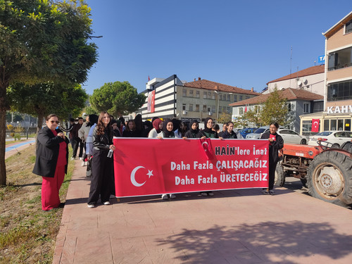 IMG 20241029 112452.jpg