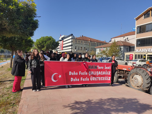 IMG 20241029 112451.jpg