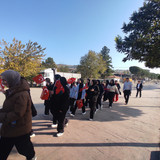 IMG 20241029 093037