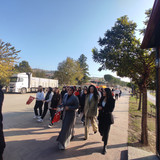 IMG 20241029 093028
