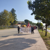 IMG 20241029 092954