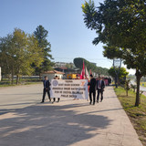 IMG 20241029 092956