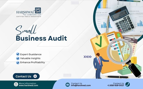small business audit step by step approach.jpg