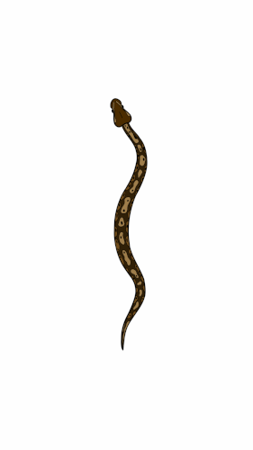 cf498b186886629.657f84786b855.gif