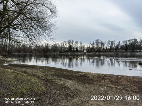 IMG 20220129 160039 edit 99336320616374.jpg