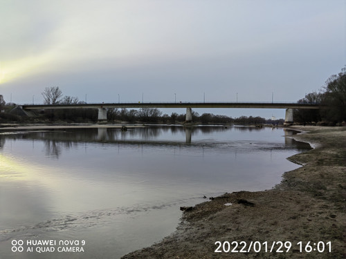 IMG 20220129 160156 edit 99193233393199.jpg