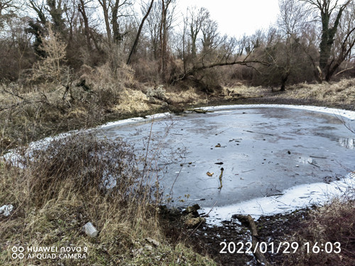 IMG 20220129 160331 edit 99030714064719.jpg