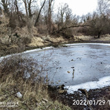 IMG 20220129 160331 edit 99030714064719