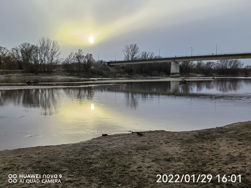 IMG 20220129 160129 edit 99289222286392.jpg