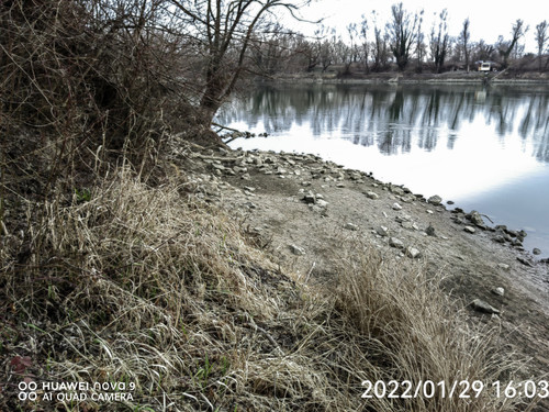 IMG 20220129 160259 edit 99130776229056.jpg