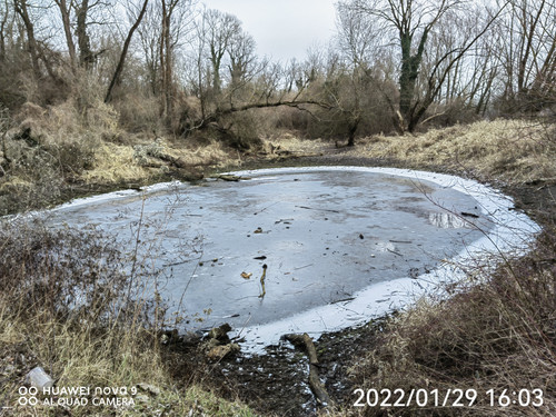 IMG 20220129 160328 edit 99048236513775.jpg