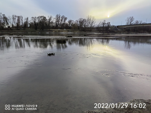 IMG 20220129 160200 edit 99175348599612.jpg