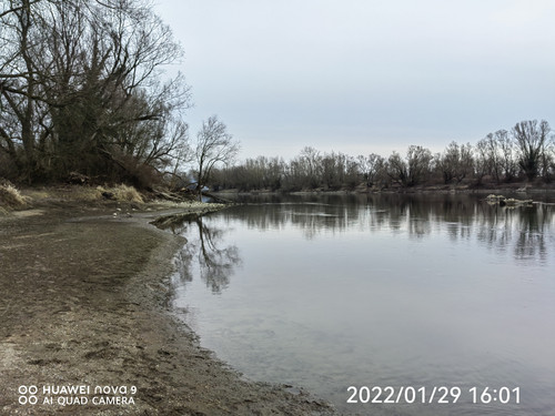 IMG 20220129 160148 edit 99259250515622.jpg