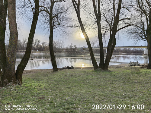 IMG 20220129 160010 edit 99349448787567.jpg