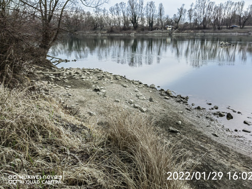 IMG 20220129 160256 edit 99160252559930.jpg