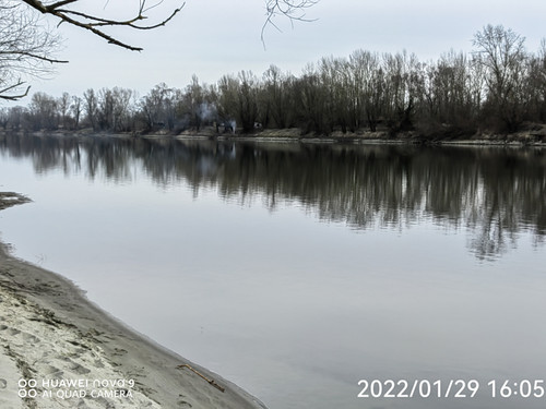 IMG 20220129 160514 edit 98970117787972.jpg