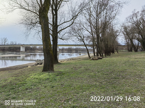 IMG 20220129 160830 edit 98859582509108.jpg