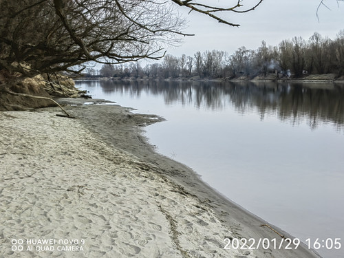 IMG 20220129 160509 edit 98985836367862.jpg