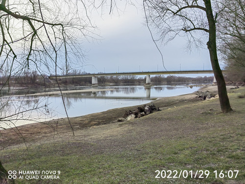 IMG 20220129 160745 edit 98915611549034.jpg